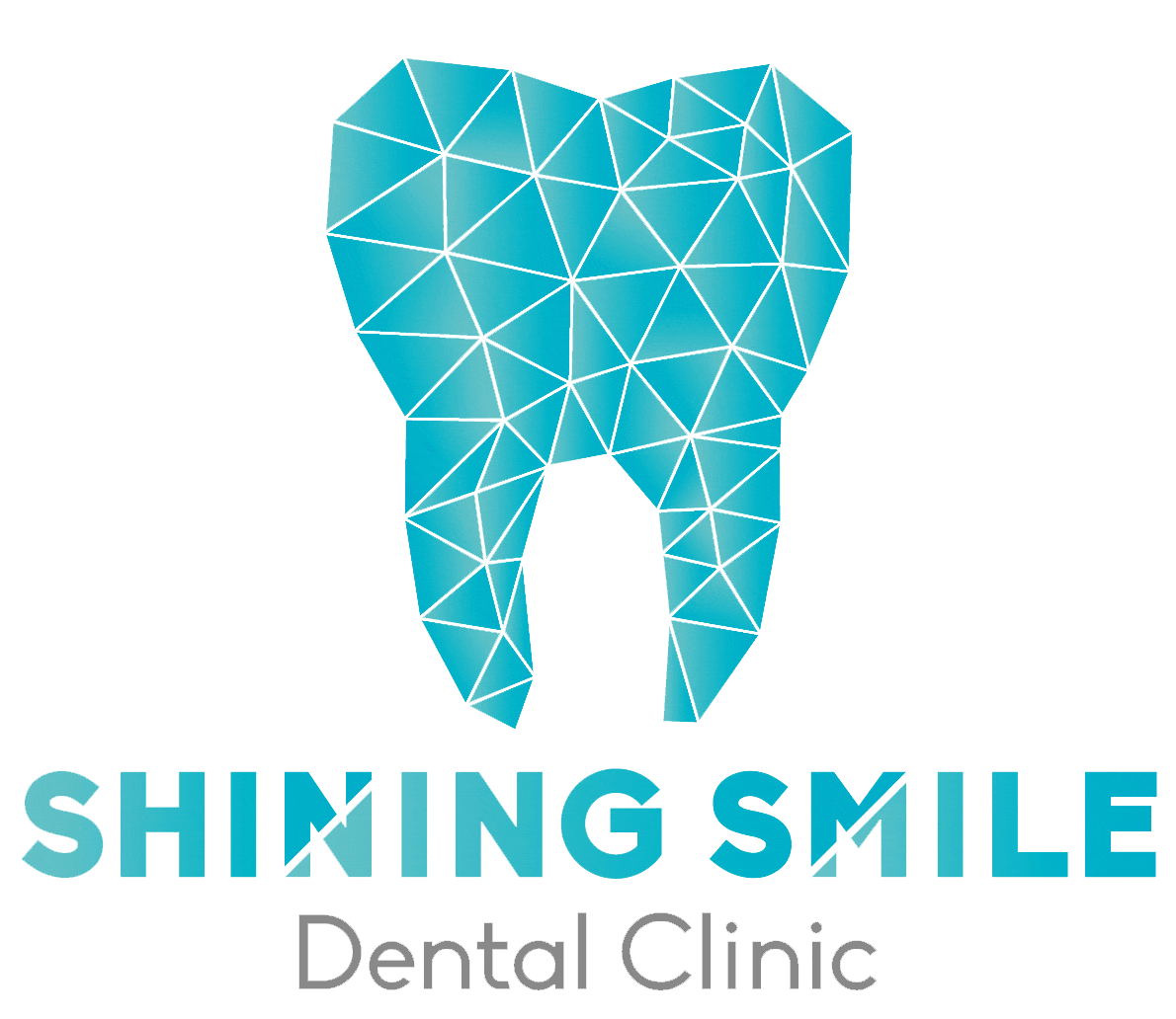 Shining Smile company logo